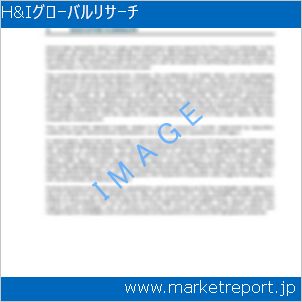 市場と産業調査レポートのイメージ